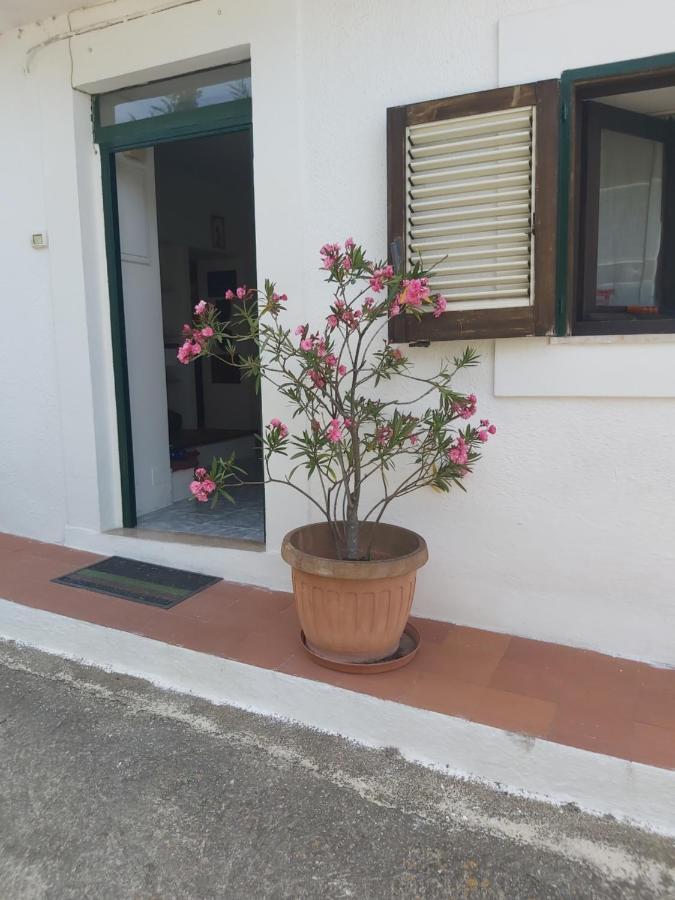 In .. Holiday home
